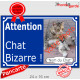 Photo Personnalisable, plaque extérieure bleue "Attention au Chat Bizarre !" Chat étrange avec prénom