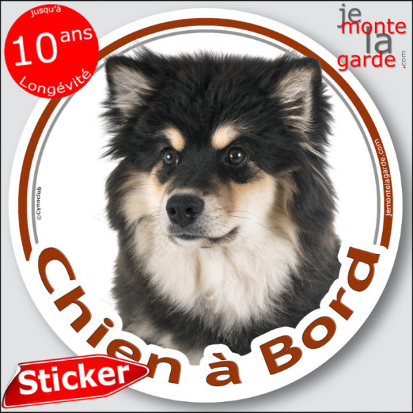 Chien Finnois de Laponie noir et feu, sticker autocollant rond "Chien à Bord" Disque photo Suomenlapinkoira adhésif voiture