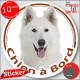 Berger Blanc Suisse, sticker autocollant rond "Chien à Bord" Disque adhésif vitre voiture photo