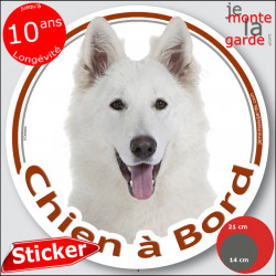 Berger Blanc Suisse, sticker autocollant rond "Chien à Bord" Disque adhésif vitre voiture photo