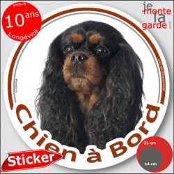 Cavalier King Charles noir et feu Tête, sticker autocollant rond "Chien à Bord" Disque adhésif vitre voiture photo