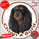 Cavalier King Charles noir feu, disque voiture "Chien à Bord" 2 tailles D