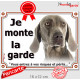 Braque de Weimar Tête, plaque portail "Je Monte la Garde, risques périls" panneau photo affiche pancarte, attention au chien