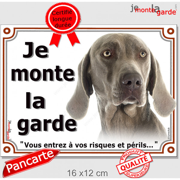 Braque de Weimar Tête, plaque portail "Je Monte la Garde, risques périls" panneau photo affiche pancarte, attention au chien
