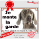 Braque de Weimar Tête, plaque portail "Je Monte la Garde, risques périls" panneau photo affiche pancarte, attention au chien