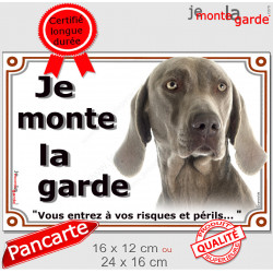 Braque de Weimar Tête, plaque portail "Je Monte la Garde, risques périls" panneau photo affiche pancarte, attention au chien