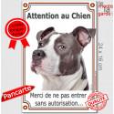 Amstaff Bleu, plaque portail verticale "Attention au Chien, pas sans autorisation" 24 cm VL