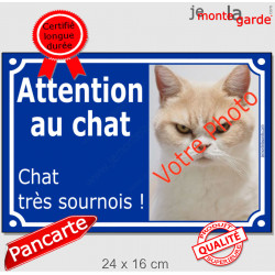 Photo Personnalisable, plaque extérieure bleue "Attention au Chat, Chat très Sournois !" fourbe