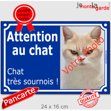 Photo Personnalisable, plaque "Attention au Chat, Chat très Sournois" 24 cm