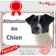 Jack Russell Blanc et Noir, plaque portail portail "Attention au Chien" panneau affiche pancarte photo