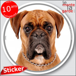 Boxer fauve marron, sticker autocollant rond "photo" Disque 14 cm intérieur/Extérieur adhésif chien résistant intempéries