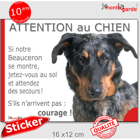 Beauceron Arlequin, sticker humour extérieur photo "Attention au Chien, Jetez Vous au Sol, attendez secours" 2 tailles D
