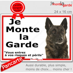 Berger Hollandais, plaque portail ECO "Je Monte la Garde, risques périls" panneau simple, pas cher mais durable