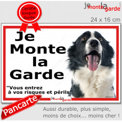 Border Collie, plaque portail ECO "Je Monte la Garde, risques périls" panneau simple, pas cher mais durable