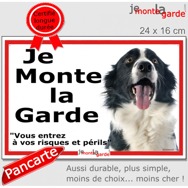 Border Collie, plaque portail ECO "Je Monte la Garde, risques périls" simple, pas cher mais durable, résiste dehors