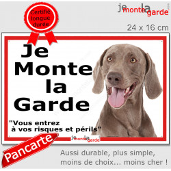Braque de Weimar, plaque portail ECO "Je Monte la Garde, risques périls" panneau simple, pas cher mais durable