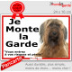 Briard fauve, plaque portail ECO "Je Monte la Garde, risques périls" panneau simple, pas cher mais durable Berger de Brie