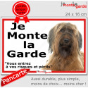 Briard fauve, plaque portail ECO "je Monte la Garde, risques Périls" 24 cm LUX