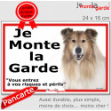 Colley, plaque portail ECO "je Monte la Garde, risques Périls" 24 cm LUX