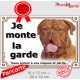 Dogue de Bordeaux face Rouge, plaque portail "Je Monte la Garde, risques et périls" panneau pancarte attention au chien photo