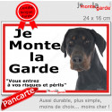 Dobermann, plaque extérieure ECO "je Monte la Garde, risques Périls" 24 cm LUX