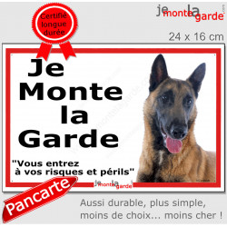 Berger Belge Malinois, plaque extérieure ECO "Je Monte la Garde, risques périls" panneau simple, pas cher mais durable