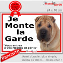 Shar-Peï fauve, plaque extérieure ECO "je Monte la Garde, risques Périls" 24 cm LUX
