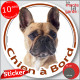 Bouledogue Français Fauve, sticker autocollant rond "Chien à Bord" disque photo adhésif vitre voiture Bulldog auto