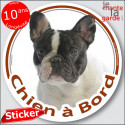 Bouledogue Français caille, sticker voiture rond "Chien à Bord" 14 cm