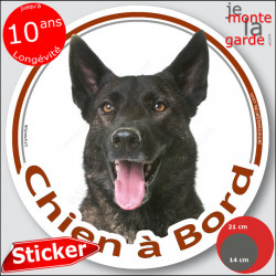 Berger Hollandais bringé poils courts Tête, sticker autocollant rond "Chien à Bord" Disque adhésif voiture, vitre auto photo