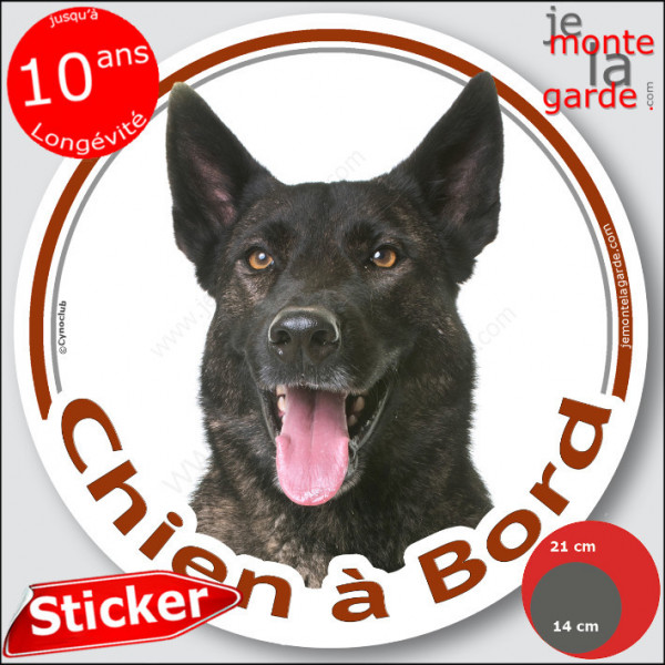 Berger Hollandais bringé poils courts Tête, sticker autocollant rond "Chien à Bord" Disque adhésif voiture, vitre auto photo