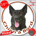 Berger Hollandais, sticker voiture rond "Chien à Bord" 2 tailles D