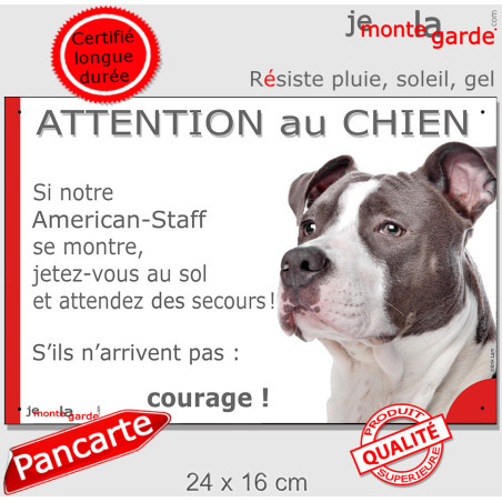 Amstaff bleu, plaque extérieure humour "Attention au Chien, se montre, Jetez Vous au So, attendez des secoursl" 2 tailles D