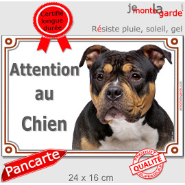 American Bully tricolore noir et feu Tête, plaque portail photo "Attention au Chien" résiste pluie soleil gel, idée cadeau