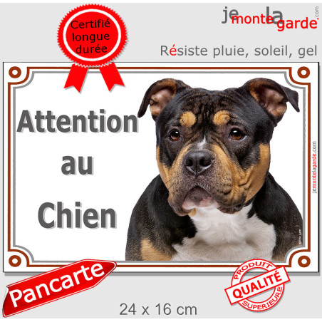 American Bully tricolore noir et feu Tête, plaque portail photo "Attention au Chien" résiste pluie soleil gel, idée cadeau