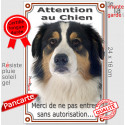 Berger Australien Tricolore, plaque extérieure verticale "Attention au Chien, pas sans autorisation" 24 cm VL