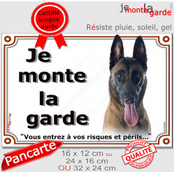 Berger Belge Malinois Tête, Plaque portail extérieur "Je Monte la Garde, risques périls" panneau photo pancarte attention chien