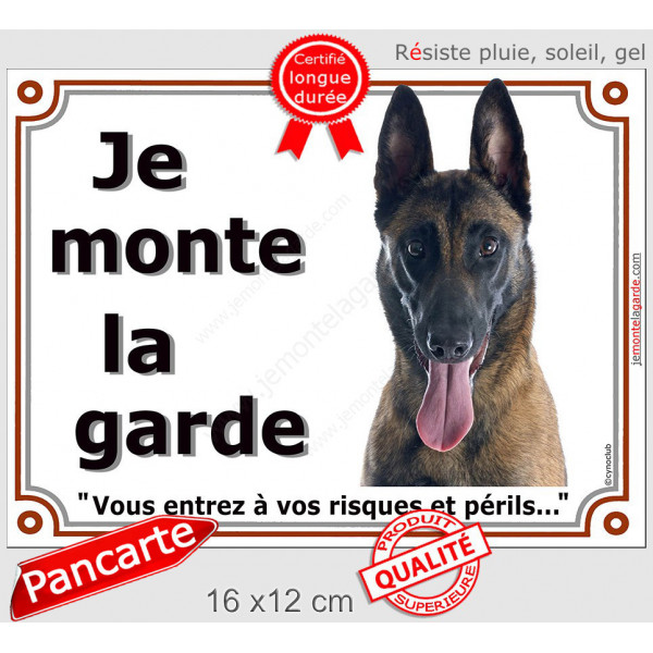 Berger Belge Malinois Tête, Plaque portail extérieur "Je Monte la Garde, risques périls" panneau photo pancarte attention chien
