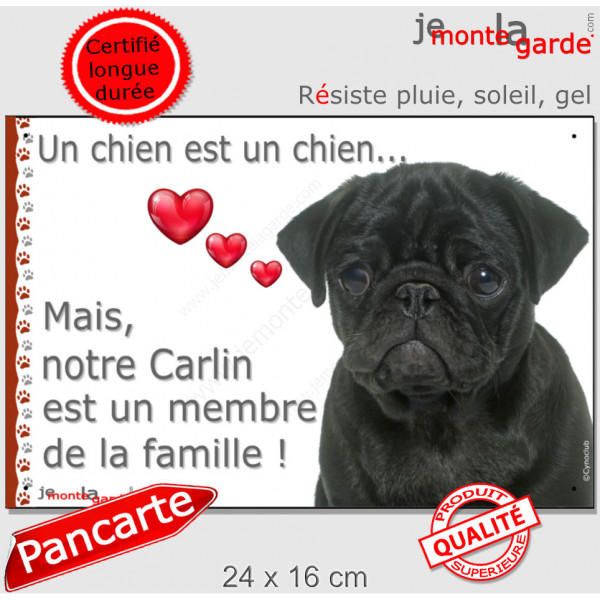 Carlin noir, plaque photo extérieur "Chien Membre de la Famille" pancarte coeur idée cadeau attention au chien