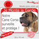 Cane Corso Italiano fauve, plaque portail rouge " Je Monte la Garde, surveille et protège" pancarte attention au chien photo