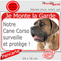 Cane Corso Italiano fauve, plaque portail rouge " Je Monte la Garde, surveille et protège" pancarte attention au chien photo
