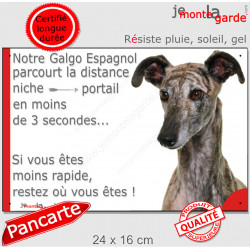 Lévrier Galgo Espagnol bringé, plaque extérieure humour "parcourt distance Niche-Portail moins 3 secondes, rapide" photo chien