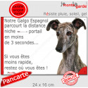 Lévrier Galgo, plaque extérieure humour "distance Niche-Portail 3 secondes" 24 cm 3S