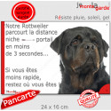 Rottweiler, plaque humour extérieure "distance Niche - Portail 3 secondes" 24 cm 3SEC