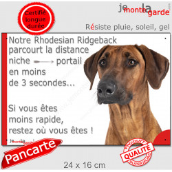 Rhodesian Ridgeback, plaque extérieure humour "parcourt distance Niche-Portail moins 3 secondes, rapide" photo attention chien