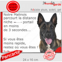 Malinois, plaque humour "parcourt distance Niche-Portail 3 secondes" 24 cm