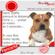 Staffie fauve, plaque humour "parcourt distance Niche-Portail moins 3 secondes, rapide"pancarte photo attention au chien Staffy