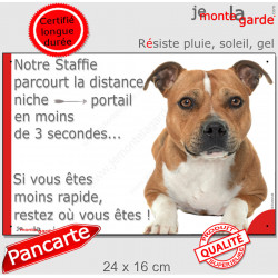 Staffie fauve, plaque humour "parcourt distance Niche-Portail moins 3 secondes, rapide"pancarte photo attention au chien Staffy