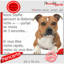 Staffie Fauve, plaque extérieure humour "distance Niche-Portail 3 secondes" 24 cm