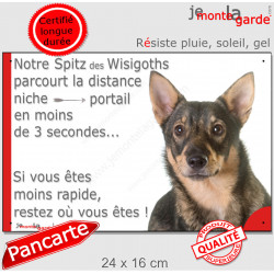 Spitz des Wisigoths, plaque extérieure humour "parcourt distance Niche-Portail moins 3 secondes, rapide" photo Vallhund Suédois